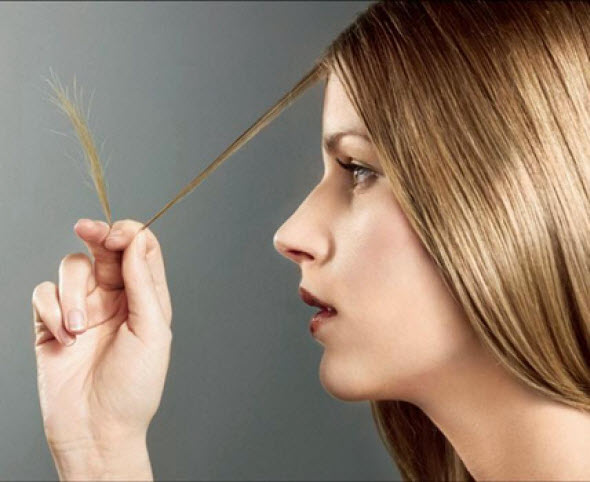 сколько волос должно выпадать каждый день у человека